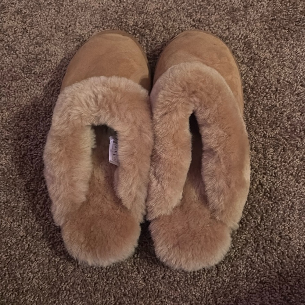 Slippers never worn